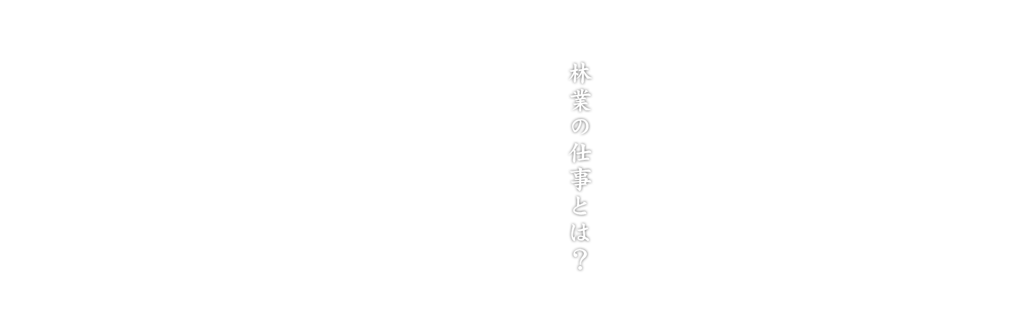 林業の仕事とは？